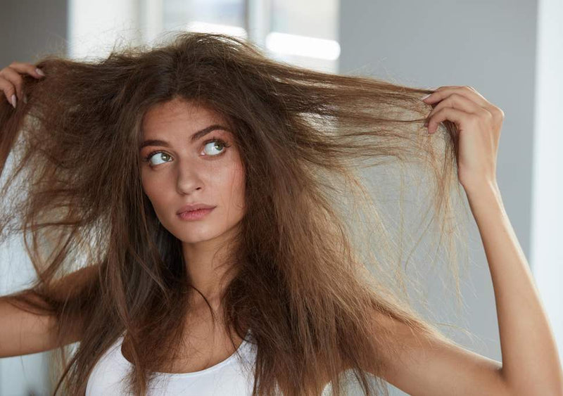 Damaged hair: how to return health to the wires